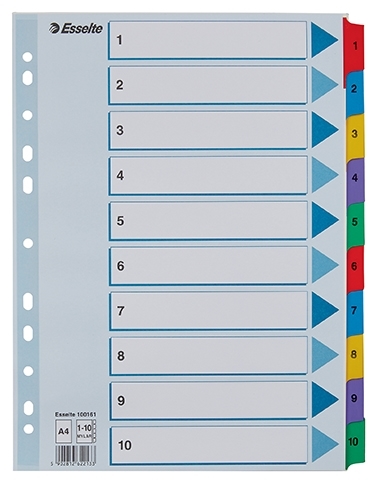 Esselte Register Mylar cardboard A4 1-10