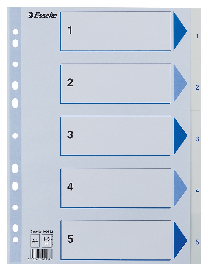 Esselte Register PP A4 1-5 white